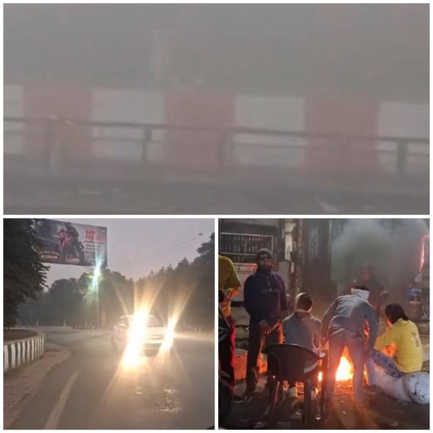 आगरा में कोहरा और गलन का डबल अटैक, सूरज नदारद, ट्रेनें लेट, सड़कों पर बढ़ा हादसों का खतरा