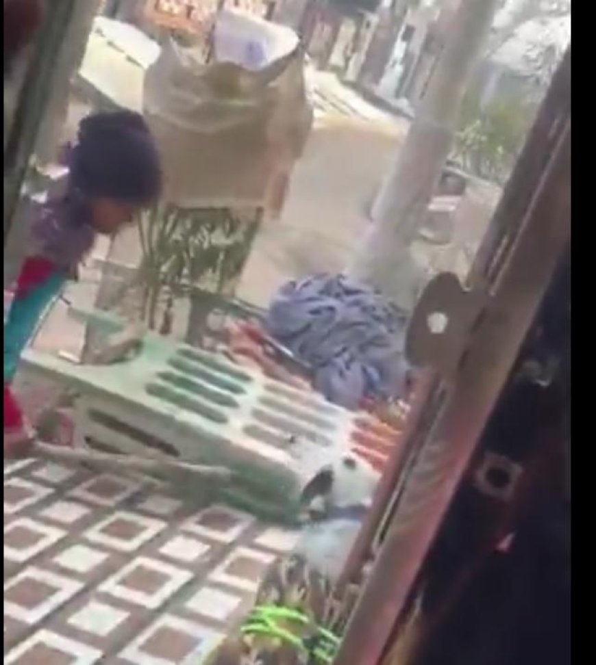 कुत्ते की बेरहमी से पिटाई का वीडियो वायरल, शाहगंज में मां-बेटी पर पशु क्रूरता का मुकदमा दर्ज