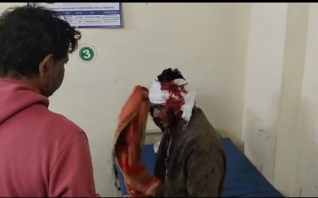 पिनाहट में दबंगई की हद: कुत्तों को शौच कराने के विरोध पर युवक पर जानलेवा हमला, घायल