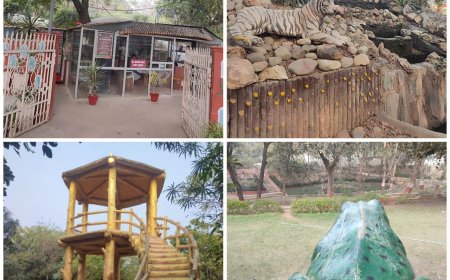 आगरा में नववर्ष पर्यटन सीजन में ताज नेचर वॉक बना पर्यटकों की पहली पसंद