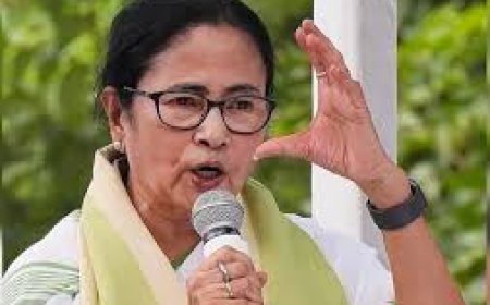 ममता बनर्जी ने सीईसी को लिखा पत्र, कहा- 'गड़बड़ियों को ठीक करें, नहीं तो चुनाव पर होगा असर, एसआईआर रोकें