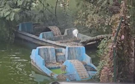 पालीवाल पार्क तालाब में दर्दनाक हादसा, 80 वर्षीय बुजुर्ग की डूबने से मौत, पुलिस जांच में जुटी