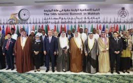 ओआईसी ने उगला जहर, कहा- जम्मू- कश्मीर में अनुच्छेद 370 फिर लागू करे भारत