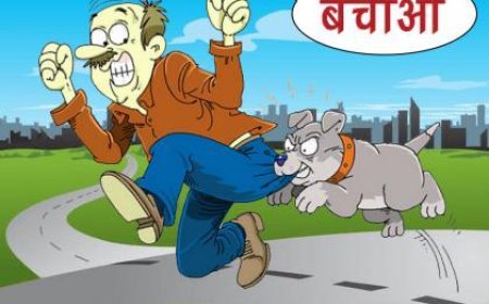 एत्मादपुर में कुत्तों का कहर, बच्चों समेत दर्जनभर घायल, 100 से अधिक लोगों को लगे रेबीज इंजेक्शन