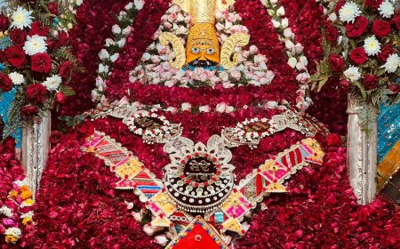 पतंग स्वरूप में प्रकट हुए श्याम बाबा, जीवनी मंडी मंदिर में उमड़ा आस्था का सैलाब