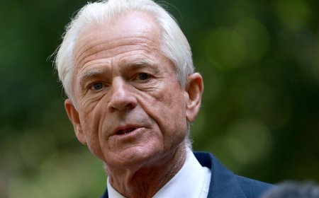 AI से लेकर तेल तक अमेरिका की बेचैनी: भारत पर भड़के ट्रंप के सलाहकार पीटर नवारो, ट्रेड डील गतिरोध के बीच जुबान और तीखी