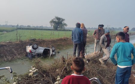 आगरा में तेज रफ्तार कार चंबल नहर में जा गिरी, एक की मौत, तीन अन्य घायल