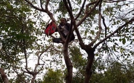 आगराः गले में रस्सी डालकर पेड़ पर चढ़ा बर्खास्त वन कर्मी,  ताजमहल पूर्वी गेट के पास घंटों चला हाई वोल्टेज ड्रामा