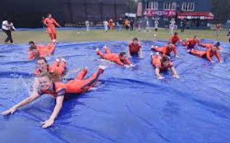 नीदरलैंड्स ने महिला टी20 विश्व कप में बनाई जगह, टीम ने किया सेलिब्रेट  