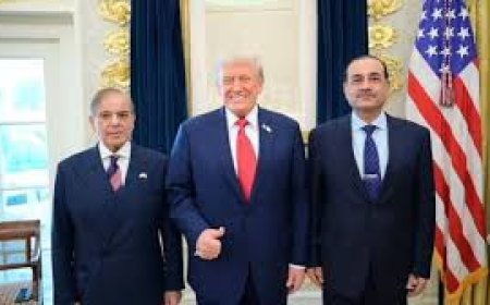 ट्रंप ने पाकिस्तान को एक महीने में दिया दूसरा झटका, देश को लेवल 3 ए़डवाइजरी में रखा, कुछ इलाके लेवल 4 में 