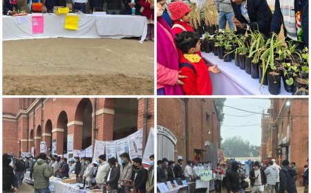 आगरा में डीईआई का ओपन डेः शिक्षा, संस्कार और नवाचार का विराट उत्सव, 25 हजार से अधिक लोगों ने देखी समग्र शिक्षा की जीवंत झलक