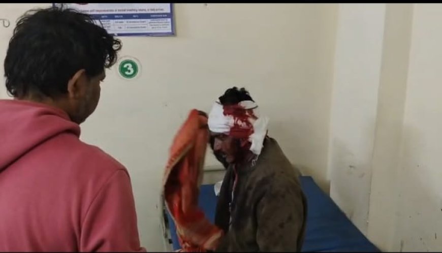 पिनाहट में दबंगई की हद: कुत्तों को शौच कराने के विरोध पर युवक पर जानलेवा हमला, घायल