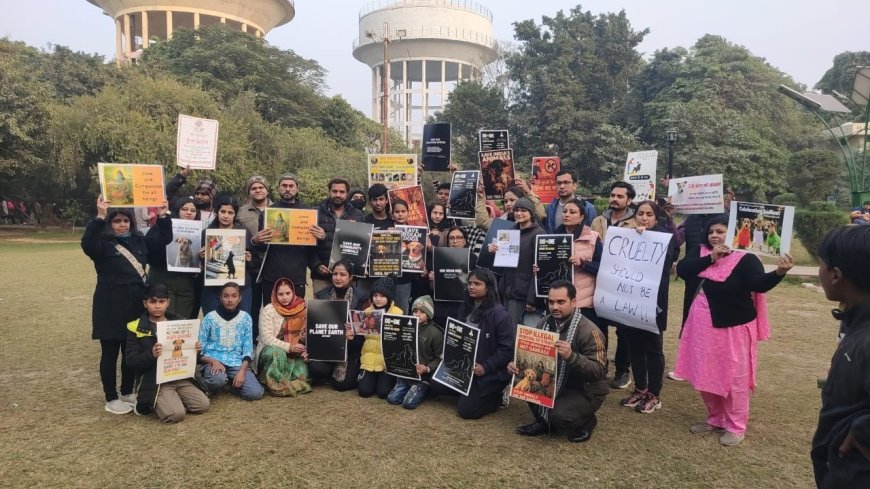 श्वानों पर निरंतर बढ़ रही क्रूरता: आगरा में पशु प्रेमियों ने नुक्कड़ नाटक कर चेताया, मानव अस्तित्व पर खतरे की चेतावनी