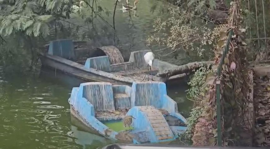 पालीवाल पार्क तालाब में दर्दनाक हादसा, 80 वर्षीय बुजुर्ग की डूबने से मौत, पुलिस जांच में जुटी