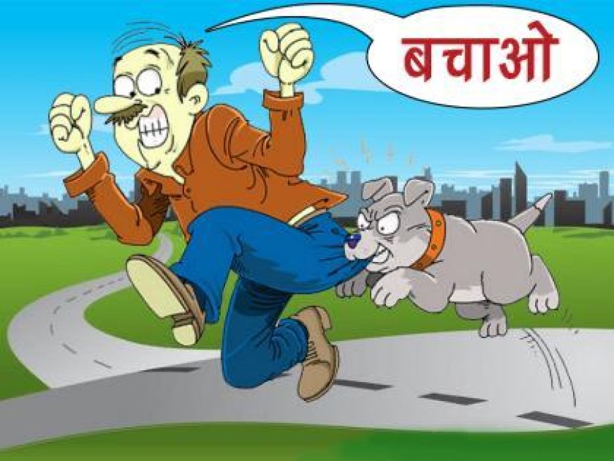 एत्मादपुर में कुत्तों का कहर, बच्चों समेत दर्जनभर घायल, 100 से अधिक लोगों को लगे रेबीज इंजेक्शन