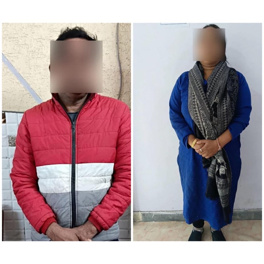 सरकारी नौकरी के नाम पर बड़ा खेल, आगरा में 7 लाख की ठगी करने वाला दंपति सलाखों के पीछे