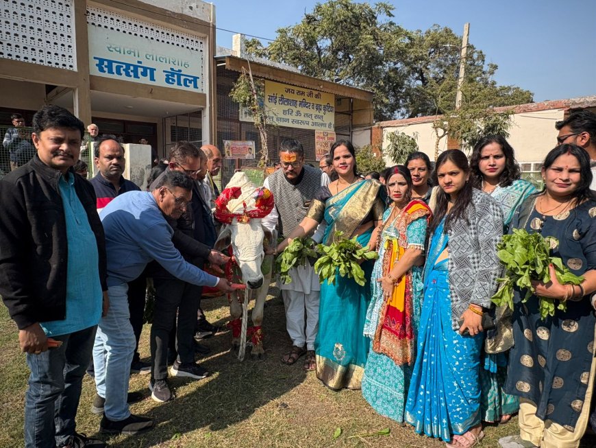 श्री कृष्ण गौशाला में भक्ति–करुणा–सेवा का महोत्सवी संगम, गौ माता को छप्पन भोग अर्पित