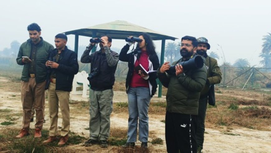 जोधपुर झाल में पक्षियों का रिकॉर्ड बसेराः 72 प्रजातियों के कुल 1493 जलीय पक्षियों में 32 प्रवासी और 40 स्थानीय, 11 संकटग्रस्त प्रजातियां भी देखने को मिलीं