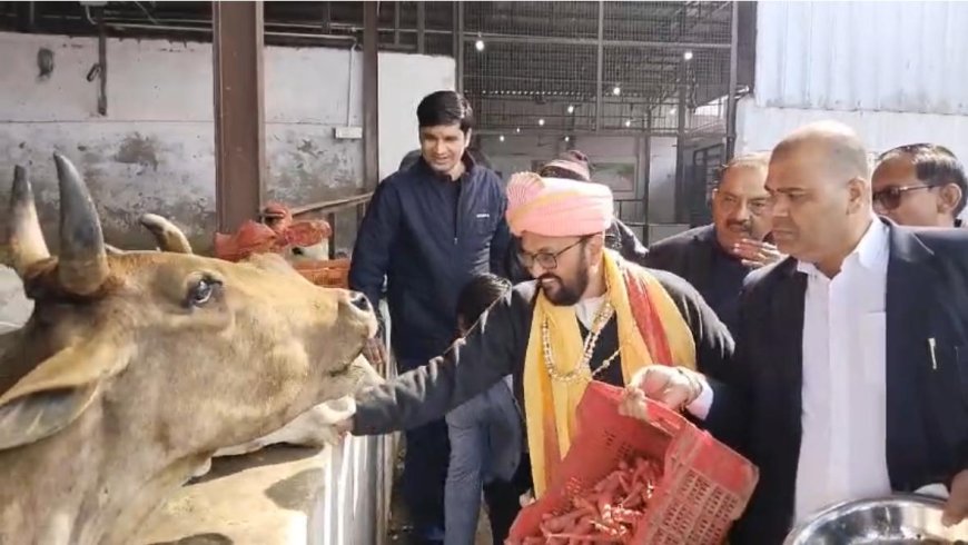 श्री कृष्ण गौशाला में गौ पूजन के साथ विशेष भोग, भक्ति से गूंजा परिसर