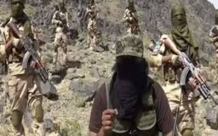 बलूच विद्रोहियों की पाक सेना को चेतावनी, 1971 में तो सिर्फ पैंट उतरी थी, हम जिंदा खाल उधेड़ देंगे