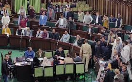 पीर पंजाल क्षेत्र को लेकर जम्मू- कश्मीर विधानसभा में हंगामा, बीजेपी-नेकां में विवाद गहराया  