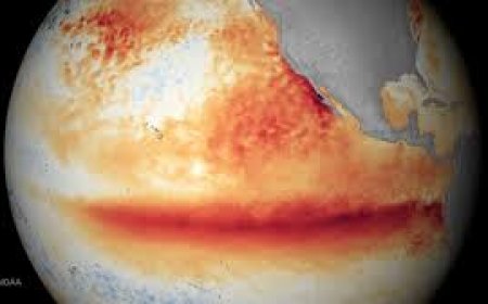 दुनिया के सामने आ रही तेज गर्मी की चुनौती, प्रशांत महासागर में बनेगा अल नीनो, तापमान में भारी बढ़ोतरी का खतरा