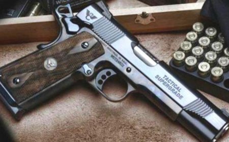 शस्त्र लाइसेंस घोटाला, सेना के जवान भी बने शिकार, 100 से अधिक लाइसेंसों में छेड़छाड़