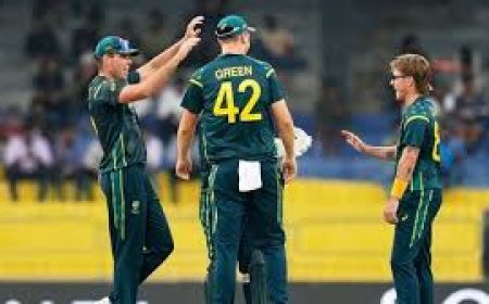ऑस्ट्रेलिया ने आयरलैंड को टी20 विश्व कप में आसानी से दी मात