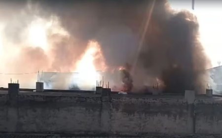 राजस्थान के भिवाड़ी में मौत का तांडवः केमिकल फैक्ट्री में भीषण आग, आठ मजदूर जिंदा जले