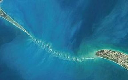 रामसेतु पर एएसआई का स्पष्ट जवाब, ‘राष्ट्रीय संरक्षित स्मारक नहीं’, संरक्षण का कोई प्रस्ताव लंबित नहीं