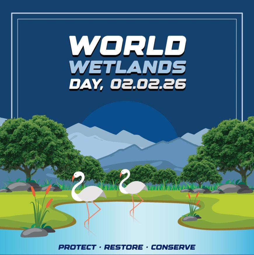 वेटलैंड दिवस पर आत्ममंथन कीजिएः प्रकृति और मानव आवश्यकताओं के बीच संतुलन जरूरी है