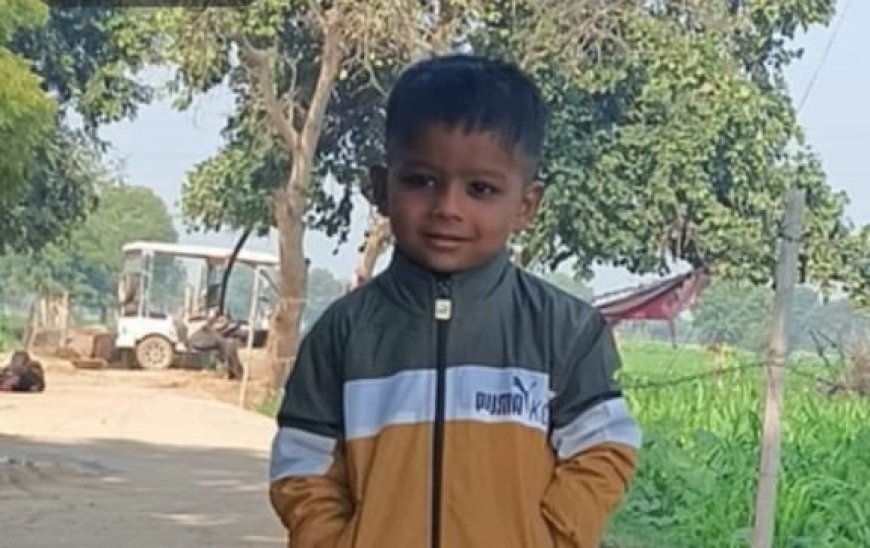 आगरा के पिनाहट क्षेत्र में कुत्ते के काटने से बच्चे की मौत का मामलाः क्या रेबीज इंजेक्शन फेल हुआ? मासूम की मौत ने खड़े किए गंभीर सवाल