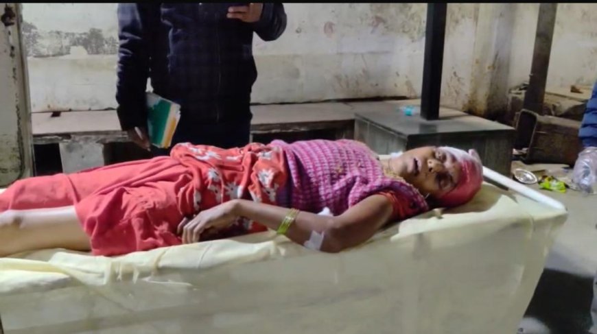 जिस बहन ने छुड़ाया जेल से, उसी को भाई ने उतारा मौत के घाट