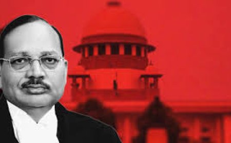 सीजेआई सूर्यकांत की हाई कोर्ट कोलेजियम से अपील,  न्यायपालिका में महिला वकीलों की नियुक्ति पर विचार करें, उचित प्रतिनिधित्व दें