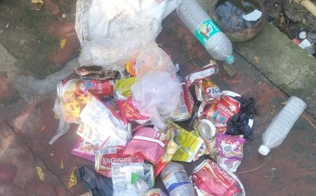 शहर का पालीवाल पार्क बदहाल: नियमों के बोर्ड चमक रहे, पर शाम होते ही छलकने लगते हैं जाम, गंदगी का भी आलम, क्या उद्यान विभाग सो रहा है?