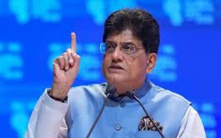 पीयूष गोयल ने साधा राहुल पर निशाना,  बोले विपक्ष के नेता को न पार्लियामेंट्री प्रोसेस की समझ न प्रोसीजर की, चर्चा से भागते हैं  राहुल गांधी