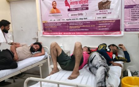 कैला देवी दर्शन को जा रहे आगरा के पदयात्रियों पर मधुमक्खियों का हमला: फतेहपुर सीकरी में तेरा दरवाजा के पास मची अफरा-तफरी, पांच श्रद्धालु घायल, अस्पताल में भर्ती