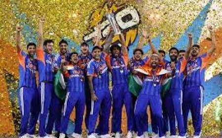 दो टी20 सीरीज खेलने की प्लानिंग में टीम इंडिया,  आयरलैंड और श्रीलंका  का दौरे करेगी वर्ल्ड चैंपियन टीम