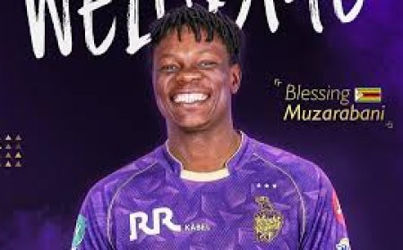 पाकिस्तान की बड़ी बेइज्जती,  फेमस क्रिकेटर ने आईपीएल के लिए पीएसएल छोड़ा, बुरी तरह बौखलाया पीसीबी