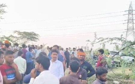 फतेहपुर सीकरी की दूरा गौशाला में मृत गायों की संख्या 21 तक पहुंची, जांच में जुटा पशुपालन विभाग, डॊक्टरों ने जताई विषाक्तता की आशंका