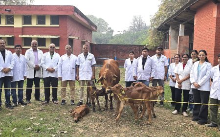 स्वदेशी नस्लों में वैज्ञानिक क्रांति: आईवीआरआई ने उन्नत तकनीक से साहीवाल के पांच उत्कृष्ट बछड़े तैयार कर रचा इतिहास