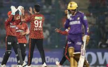 हैदराबाद ने दी 202 रन की चुनौती,  बंगलुरू का दो विकेट पर 110 रन