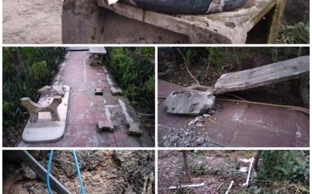 दिन में दी धमकी थी कि पार्क को तहस-नहस कर देंगे और रात में ऐसा कर भी दियाः पालीवाल पार्क में घुसे दर्जन भर से अधिक अराजक तत्वों ने मचाई तबाही, बेंच, पानी की टंकी, पाइप लाइनें, पंप का स्टार्टर आदि तोड़ डाले, आक्रामक हमलावरों के आगे सुरक्षा गार्ड बेबस हो गये थे