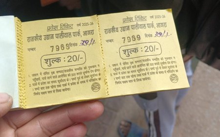 पालीवाल पार्क बना ‘वसूली का अड्डा’: 10 की जगह 20 का टिकट, पार्किंग भी अवैध, उद्यान अधीक्षक बोले- कल ही एक्शन लेंगे