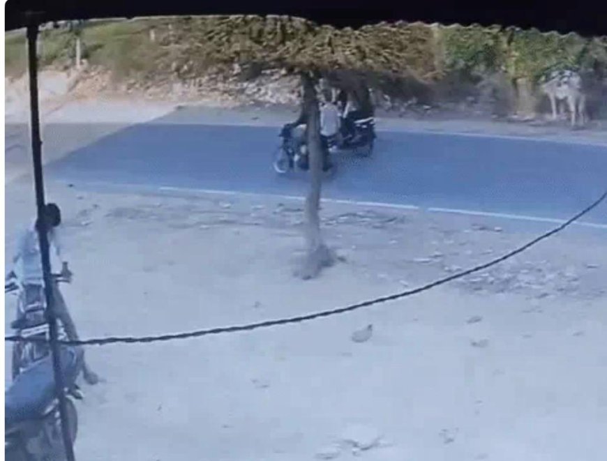 आगरा में फिल्मी अंदाज में लूट: मिर्च झोंककर चाचा-भतीजे से 8 लाख उड़ाए, 50 मीटर तक घसीटा