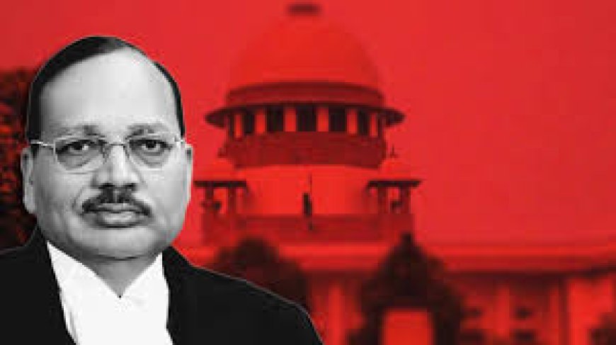सीजेआई सूर्यकांत की हाई कोर्ट कोलेजियम से अपील,  न्यायपालिका में महिला वकीलों की नियुक्ति पर विचार करें, उचित प्रतिनिधित्व दें