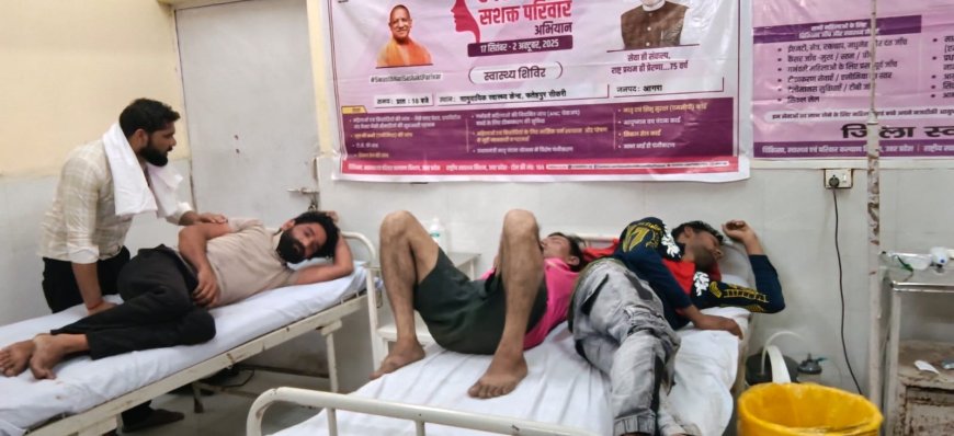 कैला देवी दर्शन को जा रहे आगरा के पदयात्रियों पर मधुमक्खियों का हमला: फतेहपुर सीकरी में तेरा दरवाजा के पास मची अफरा-तफरी, पांच श्रद्धालु घायल, अस्पताल में भर्ती