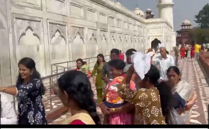 ताजमहल में मधुमक्खियों का हमला, छत्ता टूटते ही मची भगदड़, जान बचाने को दौड़े पर्यटक