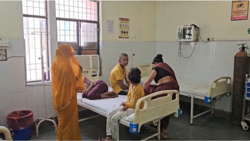 आगरा में तेहरवीं कार्यक्रम में मधुमक्खियों का हमला, 5 लोग घायल, बच्चों को अस्पताल में कराया गया इलाज