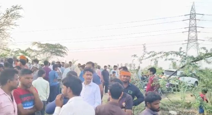 फतेहपुर सीकरी की दूरा गौशाला में मृत गायों की संख्या 21 तक पहुंची, जांच में जुटा पशुपालन विभाग, डॊक्टरों ने जताई विषाक्तता की आशंका